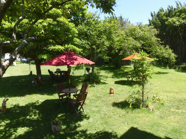 �y���V�����A���o